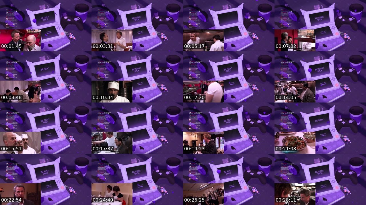 Contact-sheet preview of rainghoulie's Twitch recording