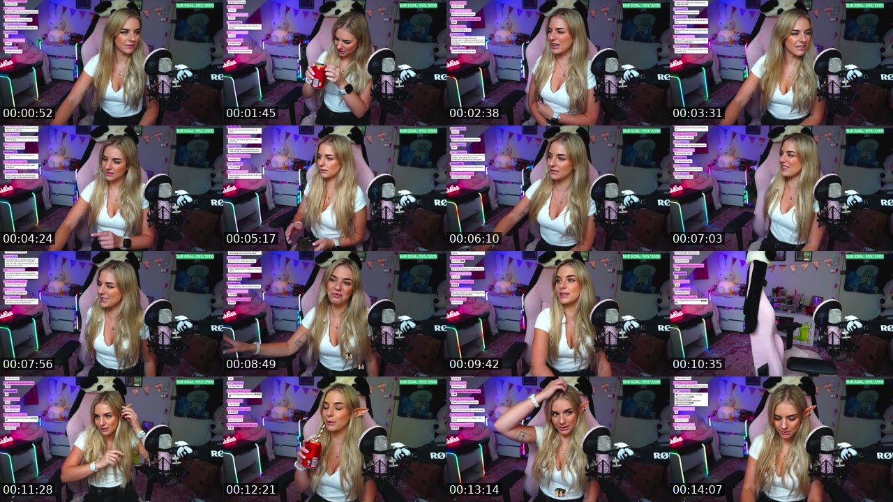 Contact-sheet preview of littlebunny_x's Twitch recording