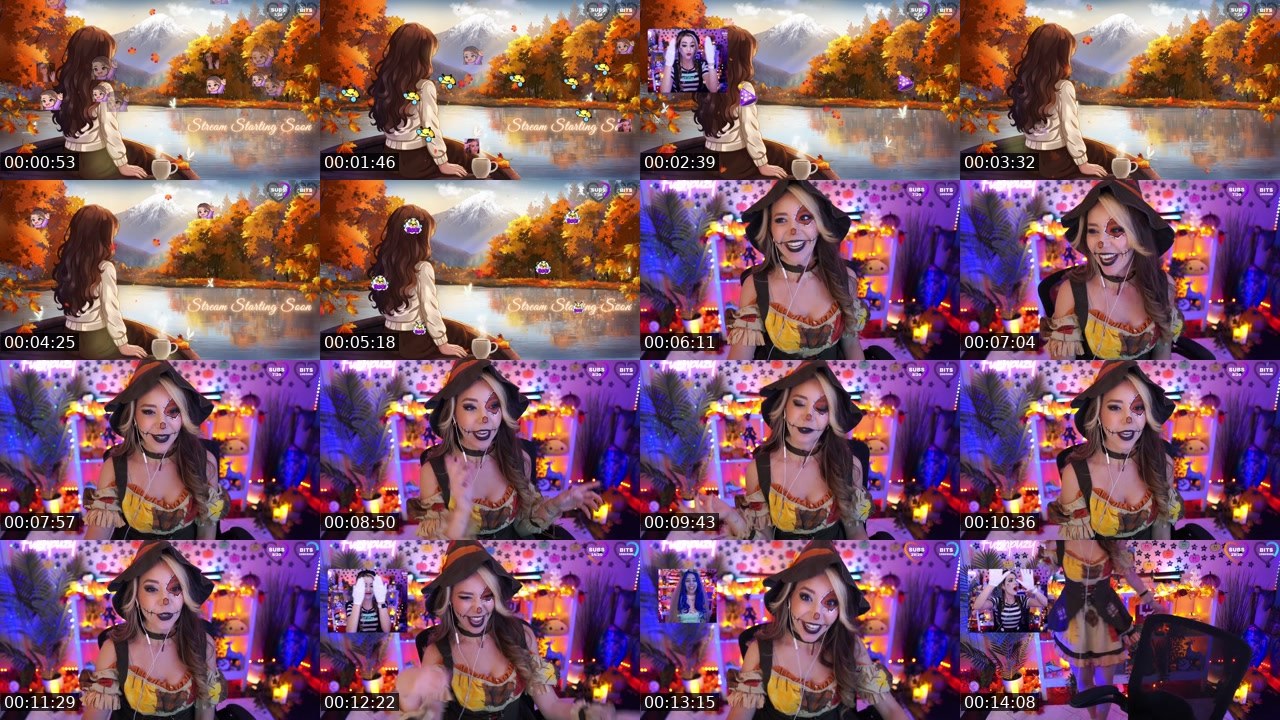 Contact-sheet preview of Fuzhpuzy's Twitch recording