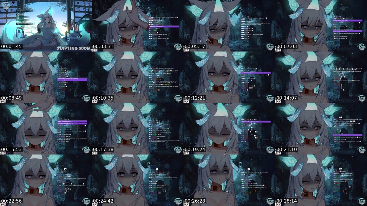 Contact-sheet preview of vixi's Twitch recording