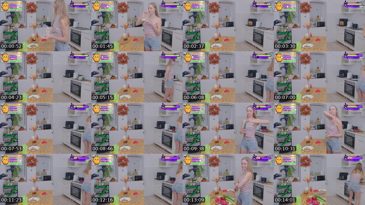 Contact-sheet preview of Gavrilka's Twitch recording