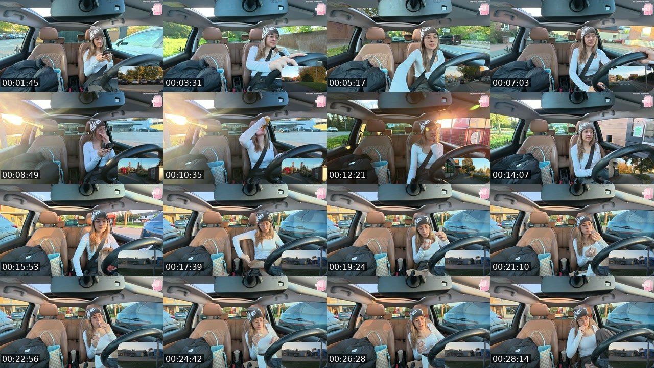 Contact-sheet preview of LeaKlein's Twitch recording