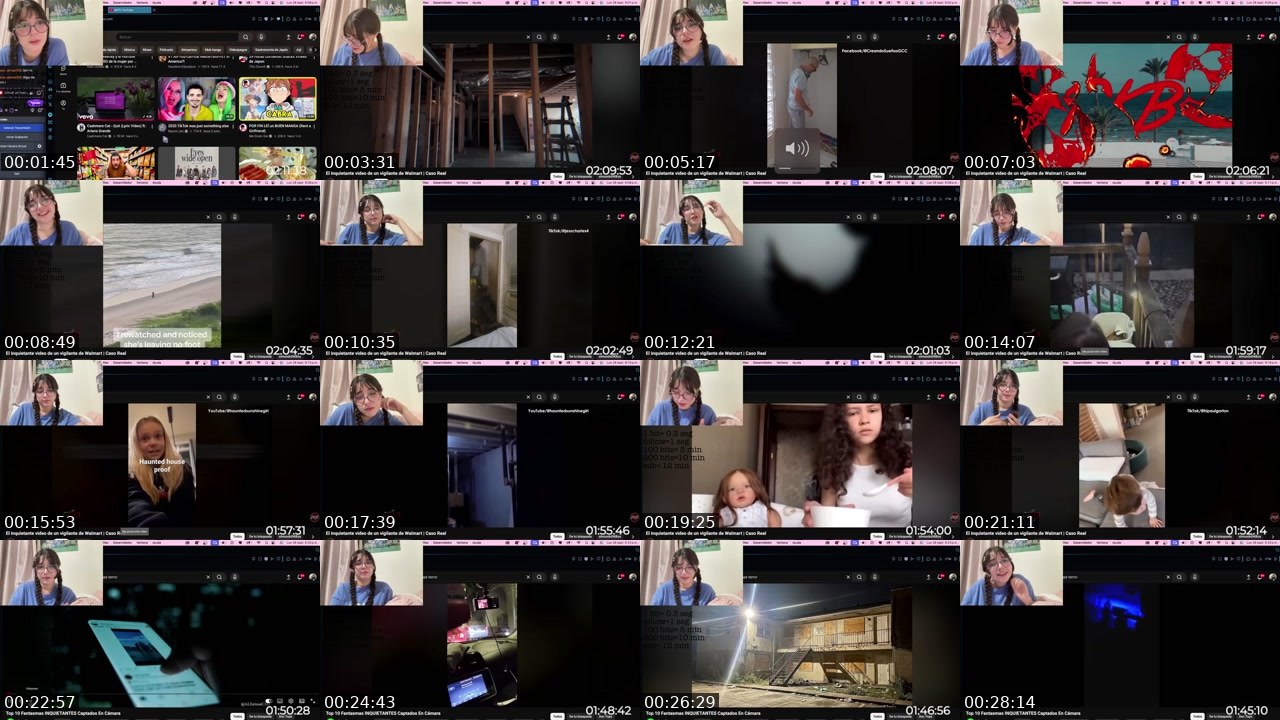 Contact-sheet preview of s0ftm0chiee's Twitch recording