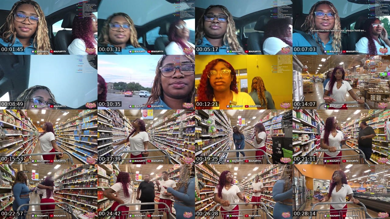 Contact-sheet preview of RealFluffy1's Twitch recording