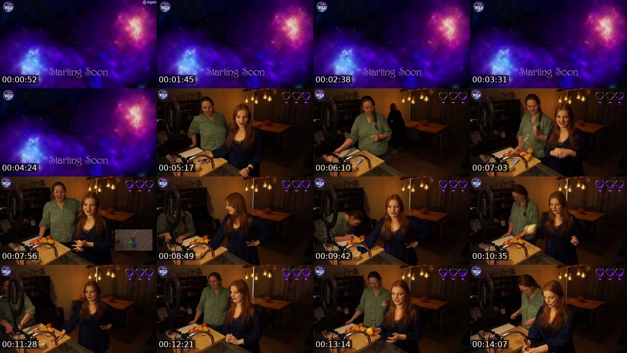 Contact-sheet preview of Viev's Twitch recording