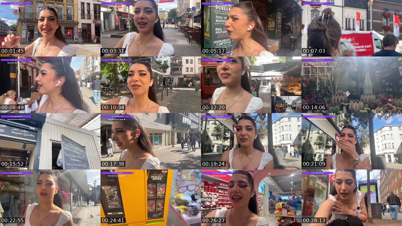 Contact-sheet preview of Naschiitaschii's Twitch recording
