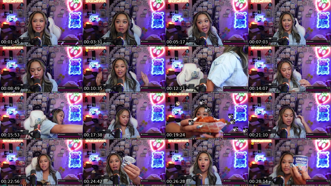Contact-sheet preview of NoBSwithAnna's Twitch recording