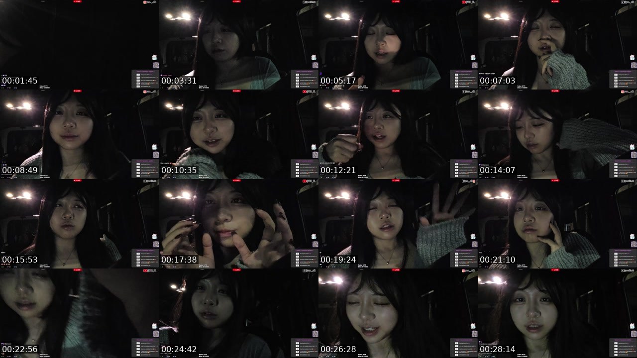Contact-sheet preview of 해까닥여울이's Twitch recording