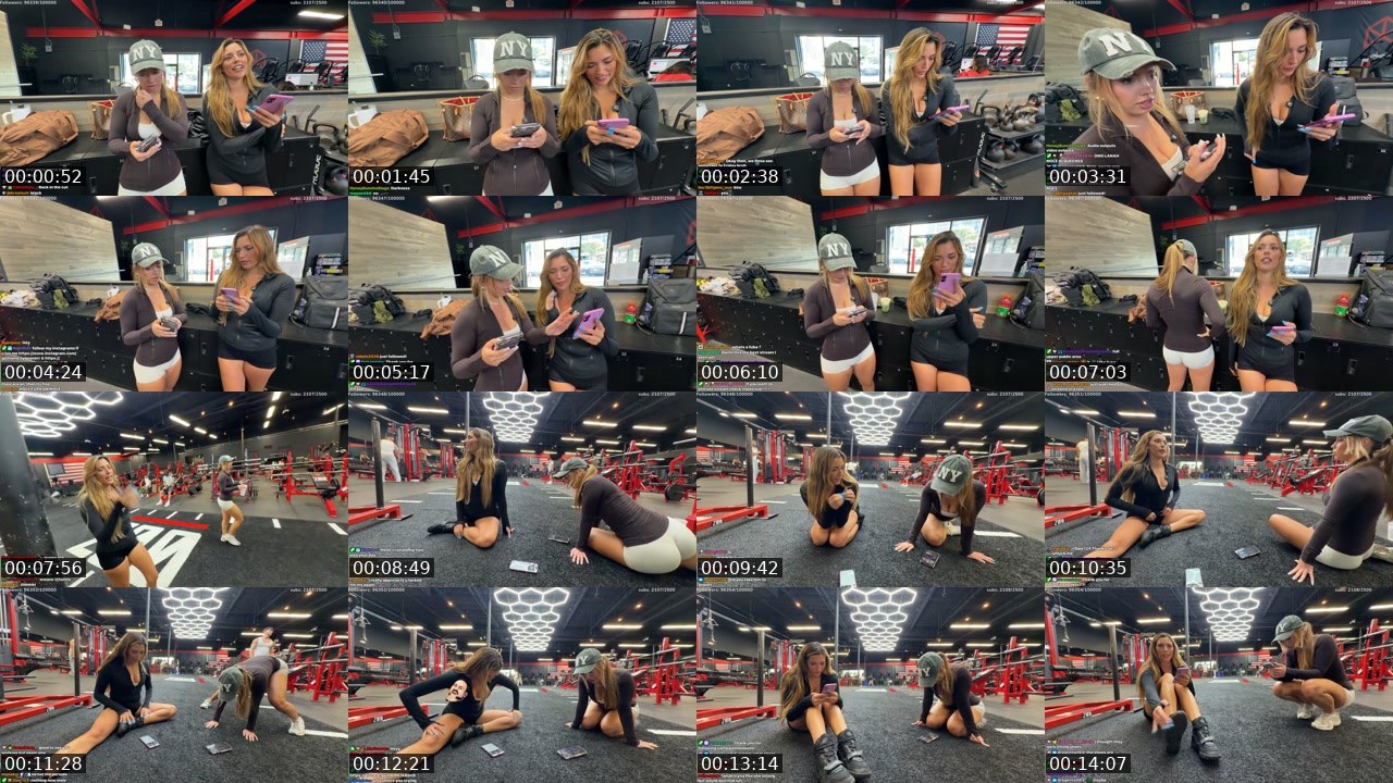 Contact-sheet preview of mole's Twitch recording