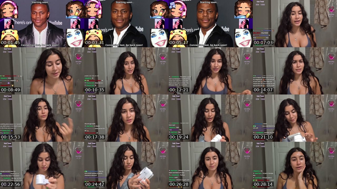 Contact-sheet preview of Malek_04's Twitch recording