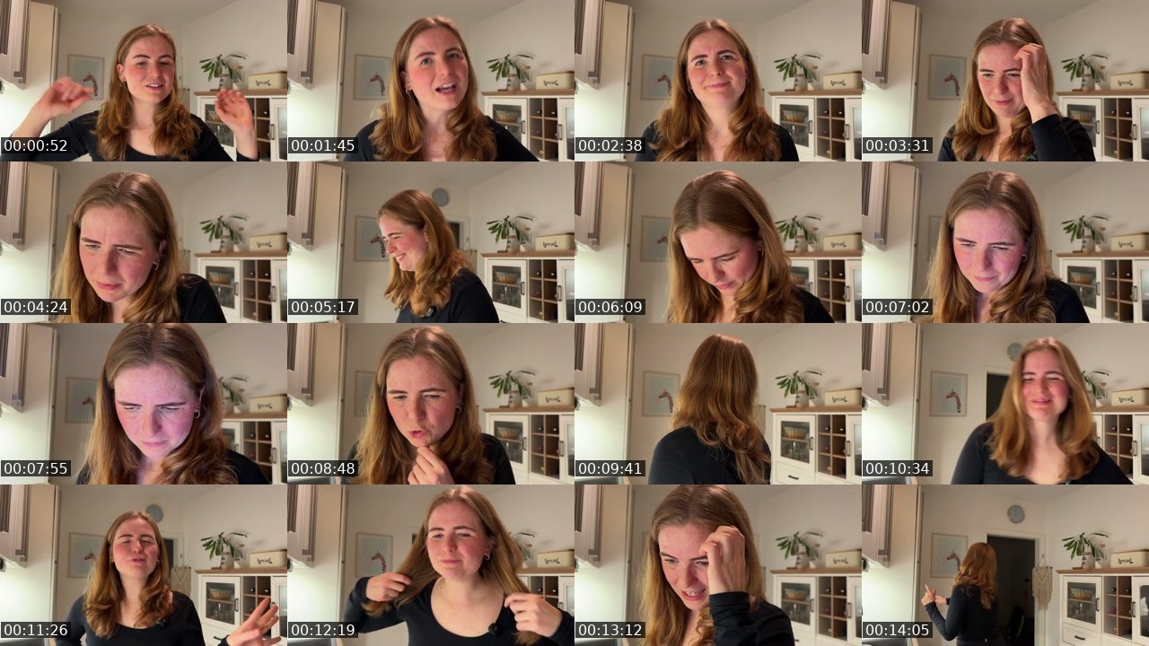 Contact-sheet preview of Feuerkopf_Elena's Twitch recording