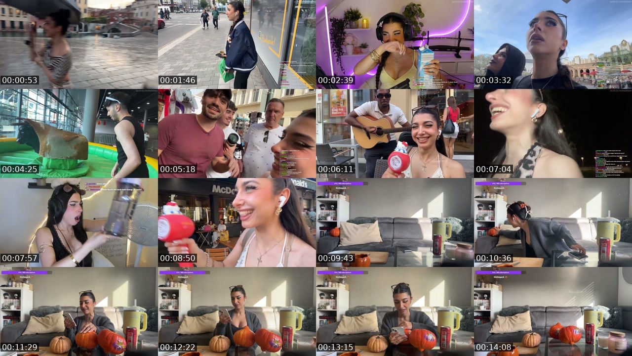 Contact-sheet preview of Naschiitaschii's Twitch recording