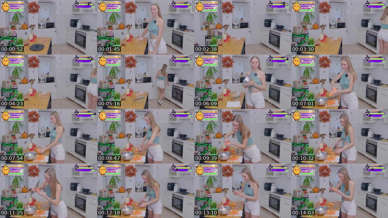 Contact-sheet preview of Gavrilka's Twitch recording