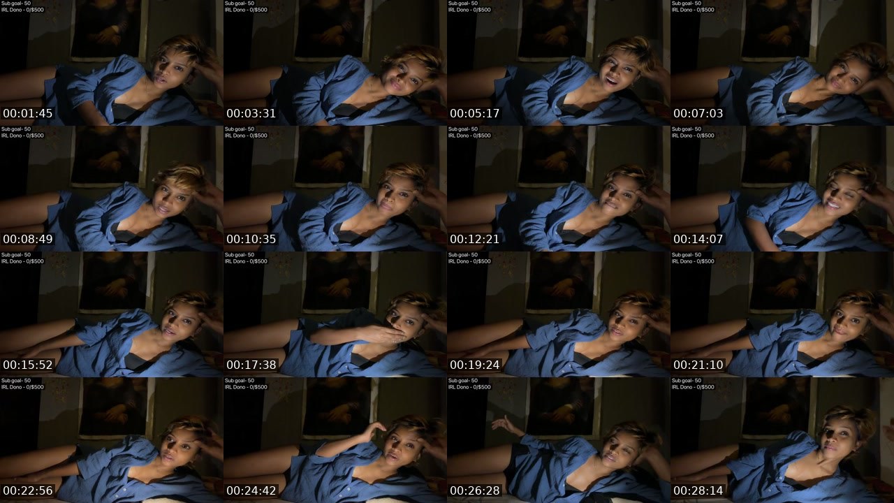 Contact-sheet preview of shaviwoo's Twitch recording