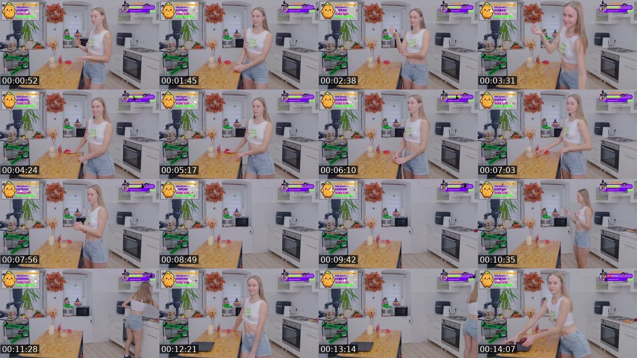 Contact-sheet preview of Gavrilka's Twitch recording