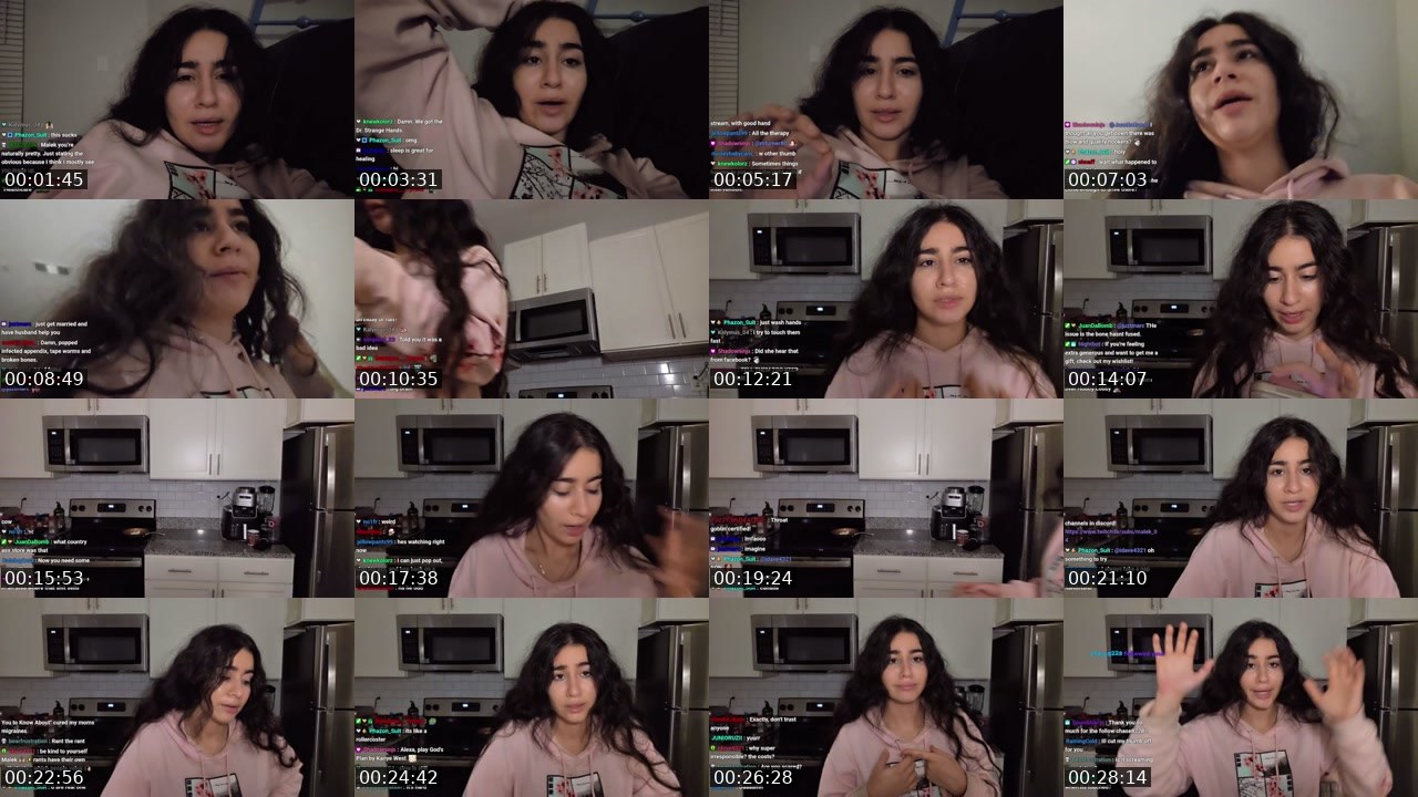 Contact-sheet preview of Malek_04's Twitch recording