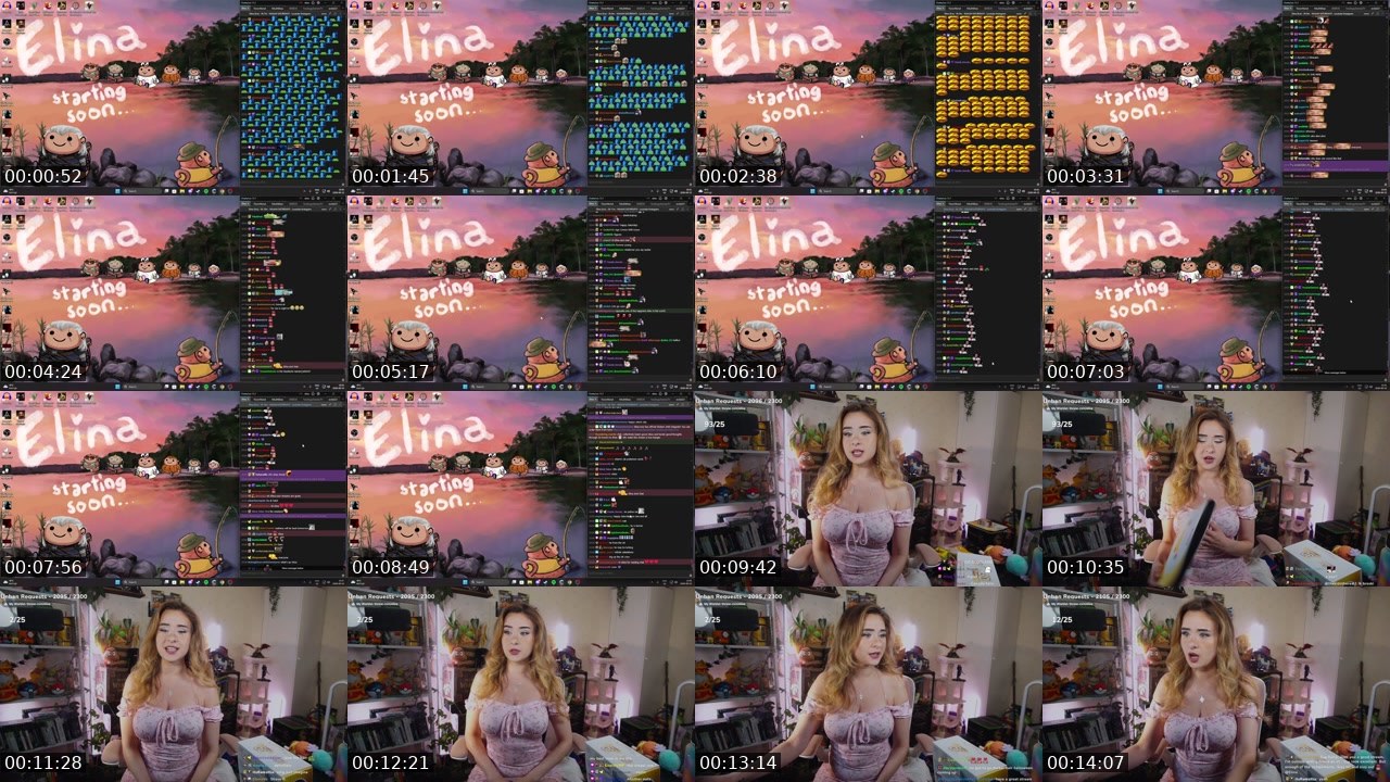 Contact-sheet preview of Elina's Twitch recording