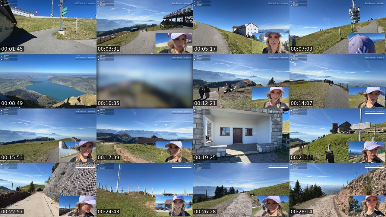 Contact-sheet preview of Stay_C's Twitch recording