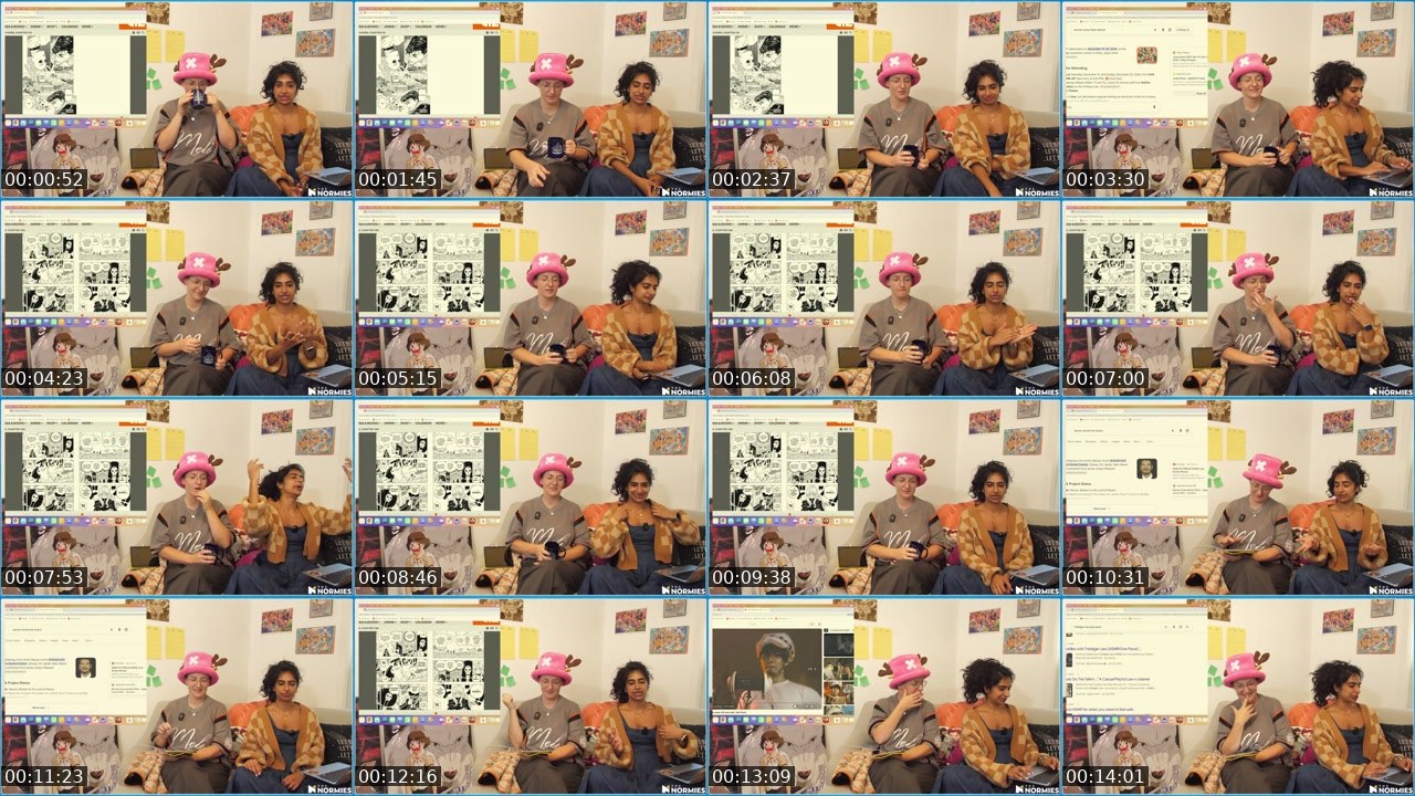 Contact-sheet preview of TheNormiesTV's Twitch recording