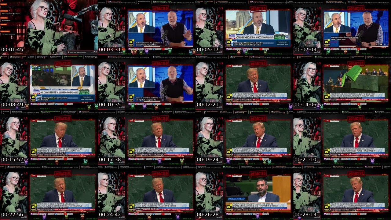 Contact-sheet preview of sadgirl's Twitch recording