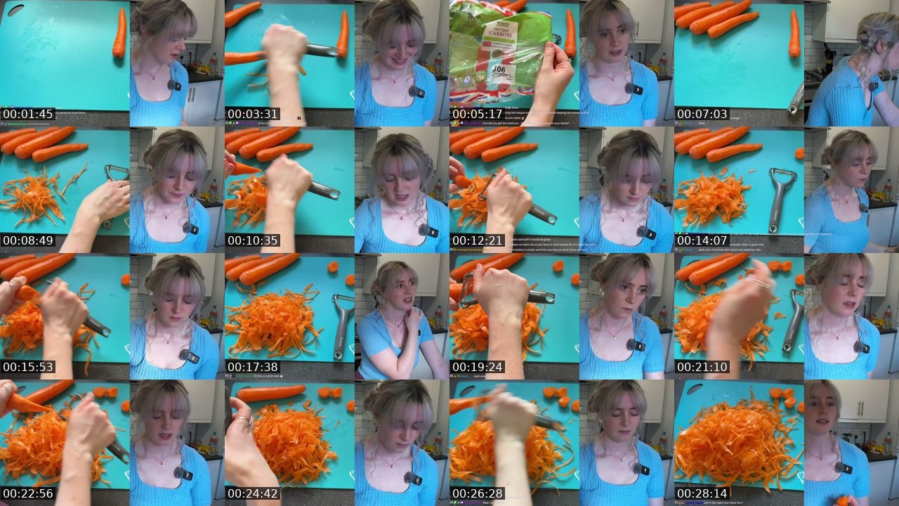 Contact-sheet preview of sarahbridgewater's Twitch recording