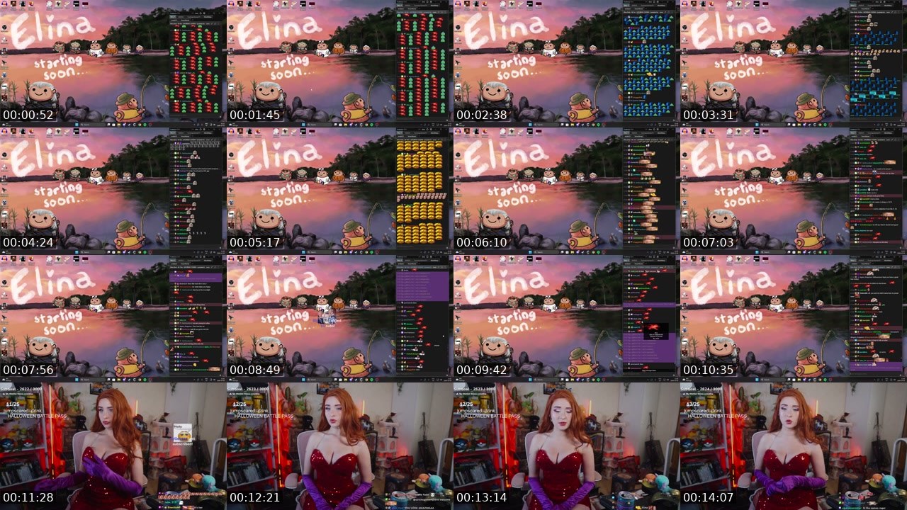 Contact-sheet preview of Elina's Twitch recording