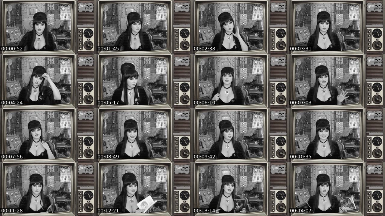 Contact-sheet preview of AndyRaeCosplay's Twitch recording