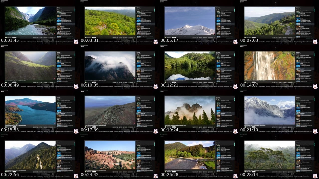 Contact-sheet preview of PrimalaVera's Twitch recording