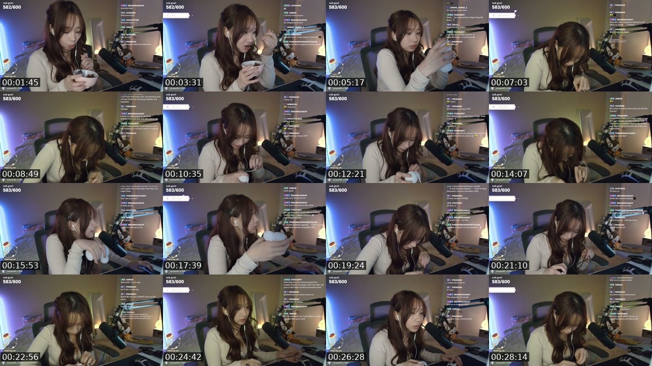 Contact-sheet preview of fairywink's Twitch recording