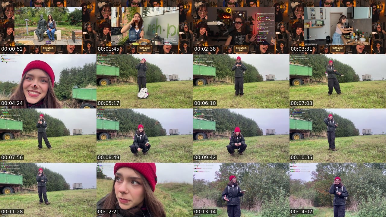 Contact-sheet preview of schiddii's Twitch recording