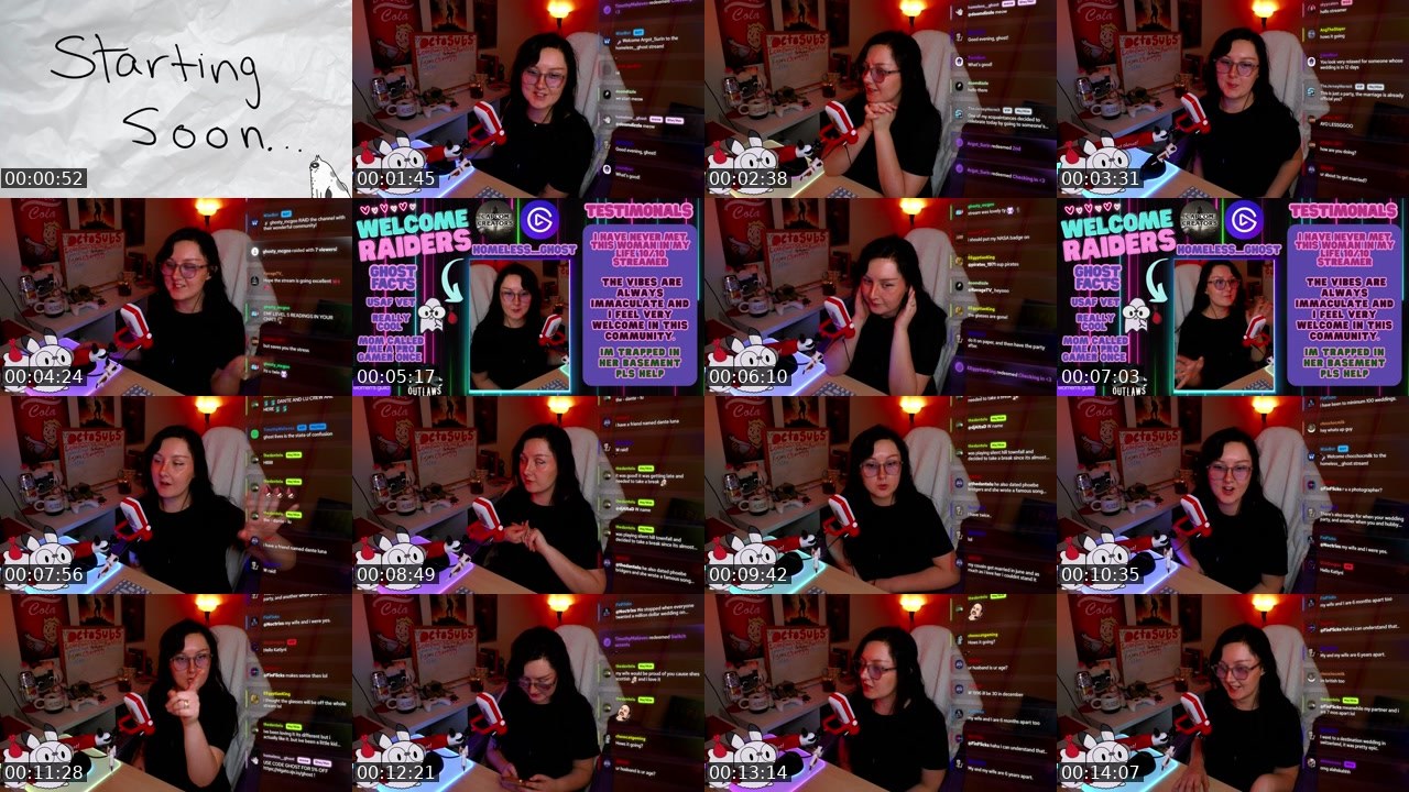 Contact-sheet preview of homeless__ghost's Twitch recording