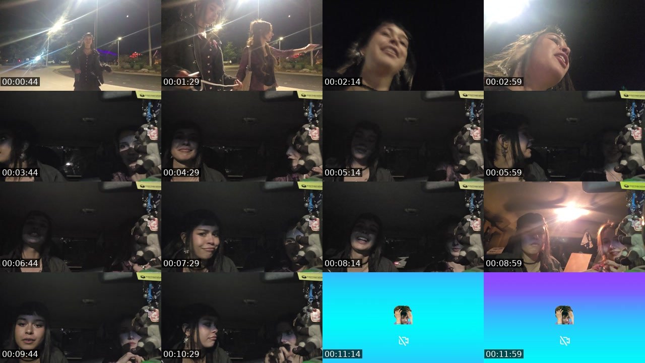 Contact-sheet preview of ZoesNotCrazy's Twitch recording