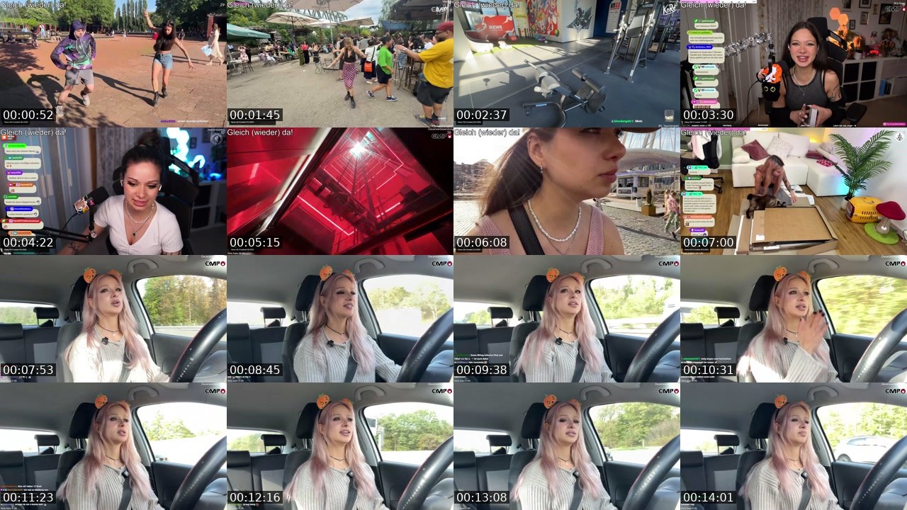 Contact-sheet preview of almostfeline's Twitch recording