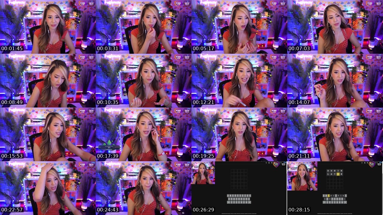 Contact-sheet preview of Fuzhpuzy's Twitch recording