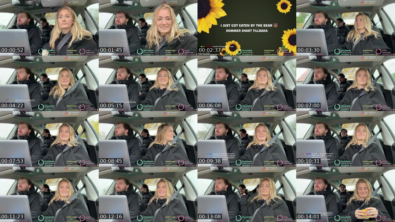Contact-sheet preview of SWE_Beforewefall's Twitch recording