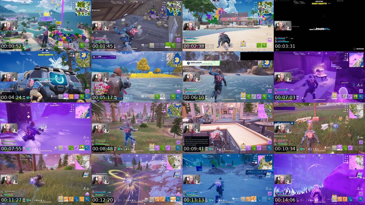 Contact-sheet preview of aneijlikan's Twitch recording