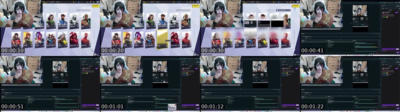 Contact-sheet preview of chickenburgerbaby's Twitch recording