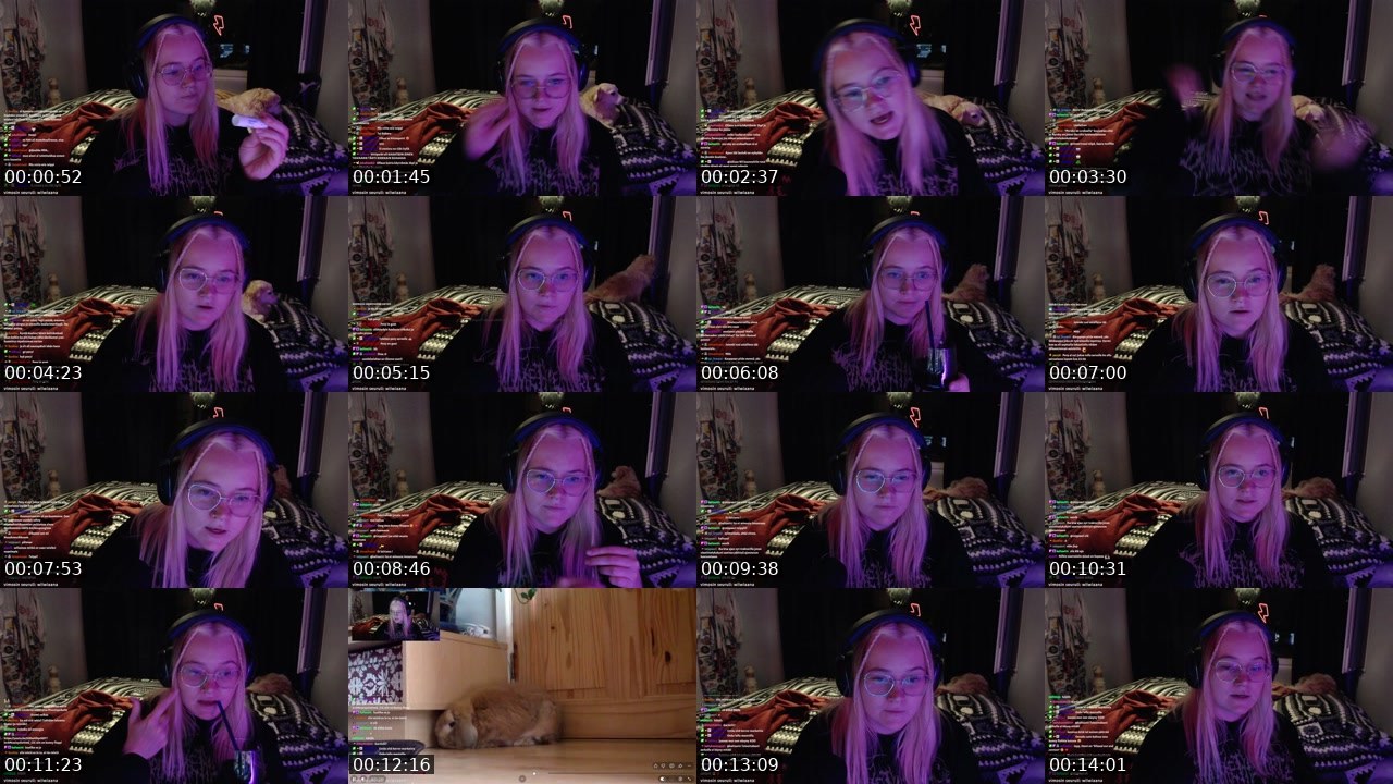 Contact-sheet preview of suhmuri's Twitch recording