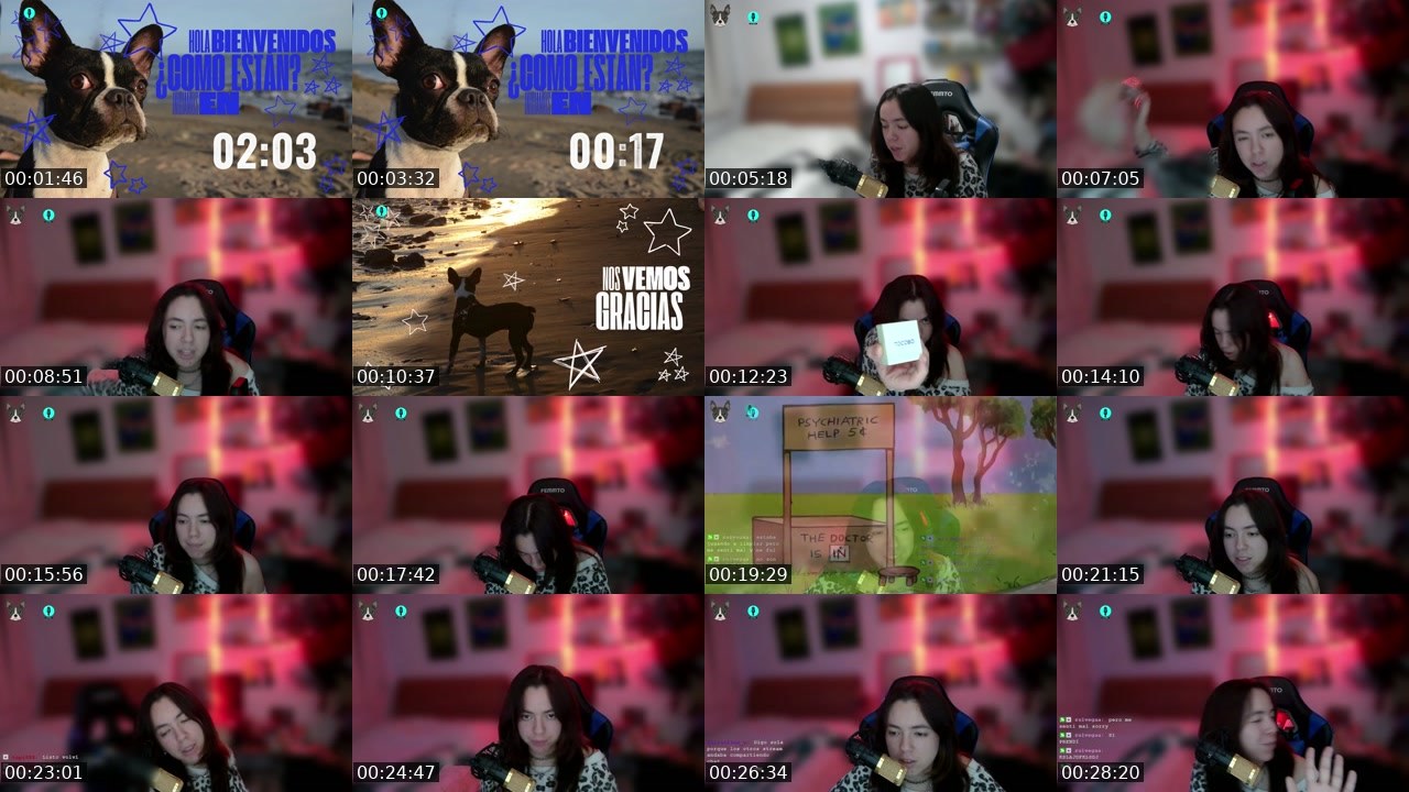 Contact-sheet preview of GALA_zo's Twitch recording