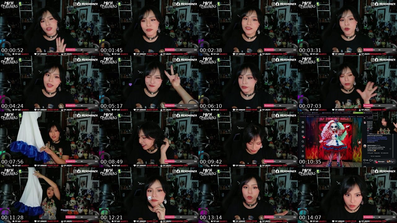 Contact-sheet preview of Michdahaka's Twitch recording