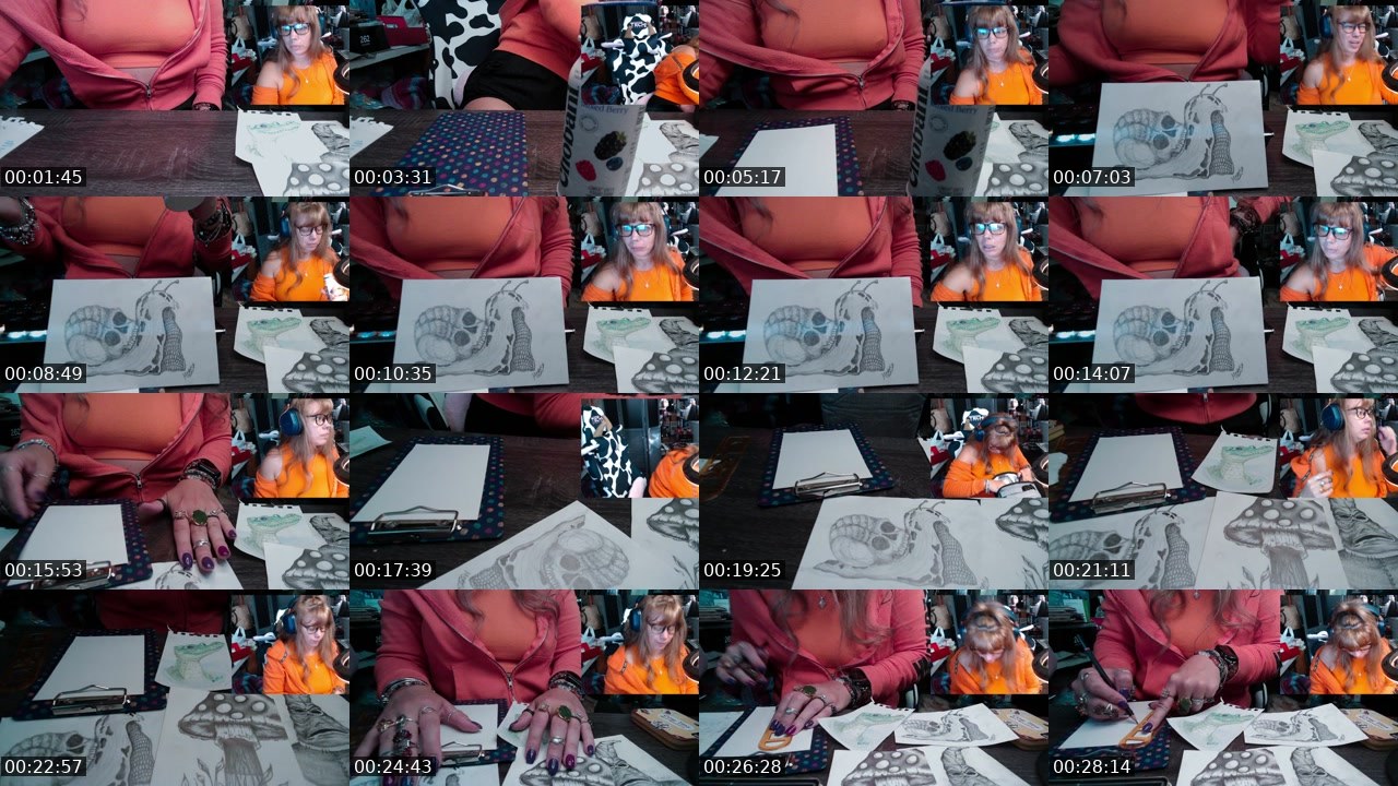 Contact-sheet preview of MaryMoo71327's Twitch recording