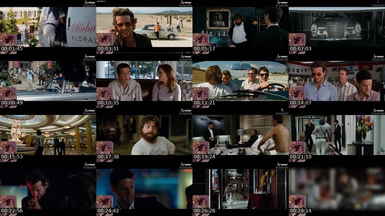 Contact-sheet preview of OlyaVoodoo's Twitch recording