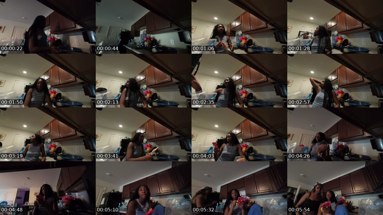 Contact-sheet preview of l3auna's Twitch recording