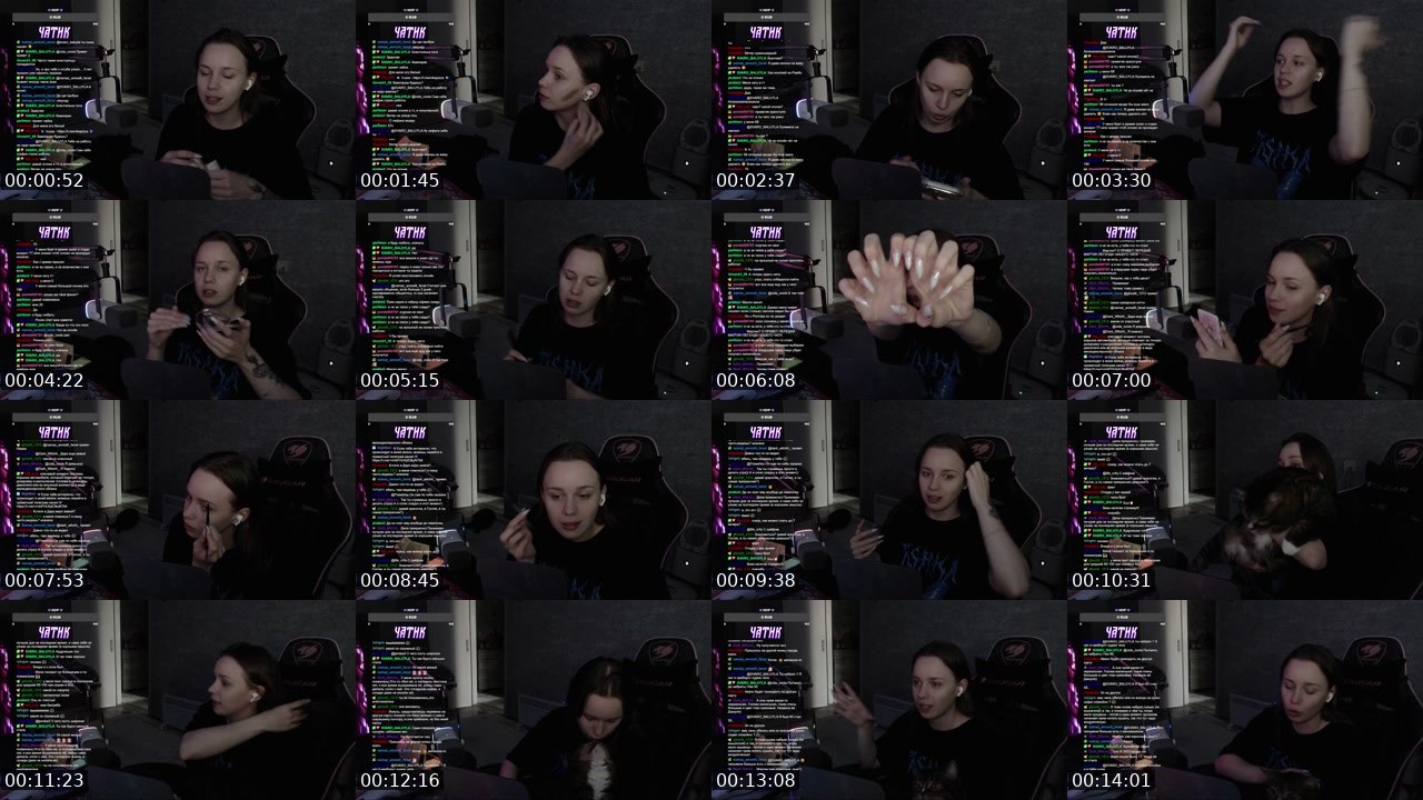 Contact-sheet preview of pizzavika's Twitch recording
