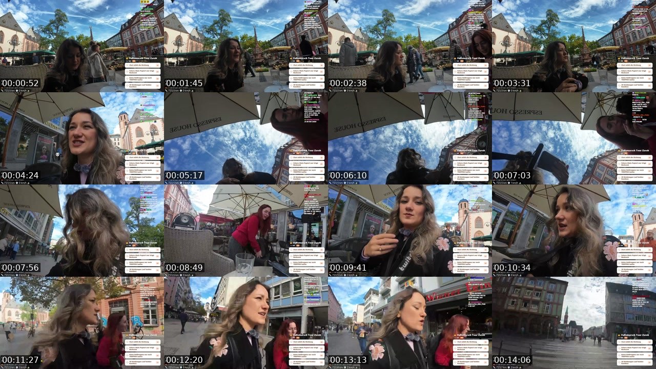 Contact-sheet preview of hallo_alexa_'s Twitch recording