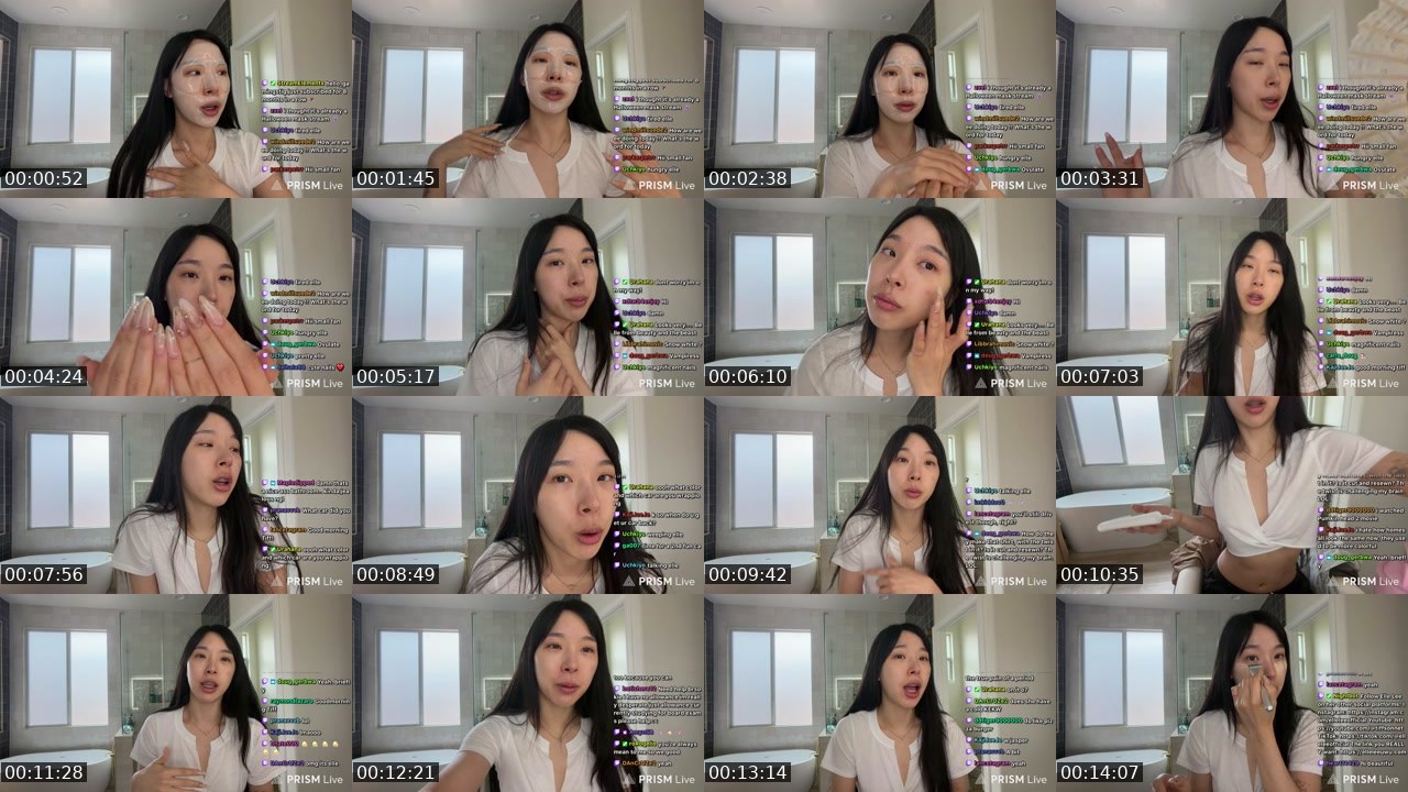 Contact-sheet preview of xElleLee's Twitch recording