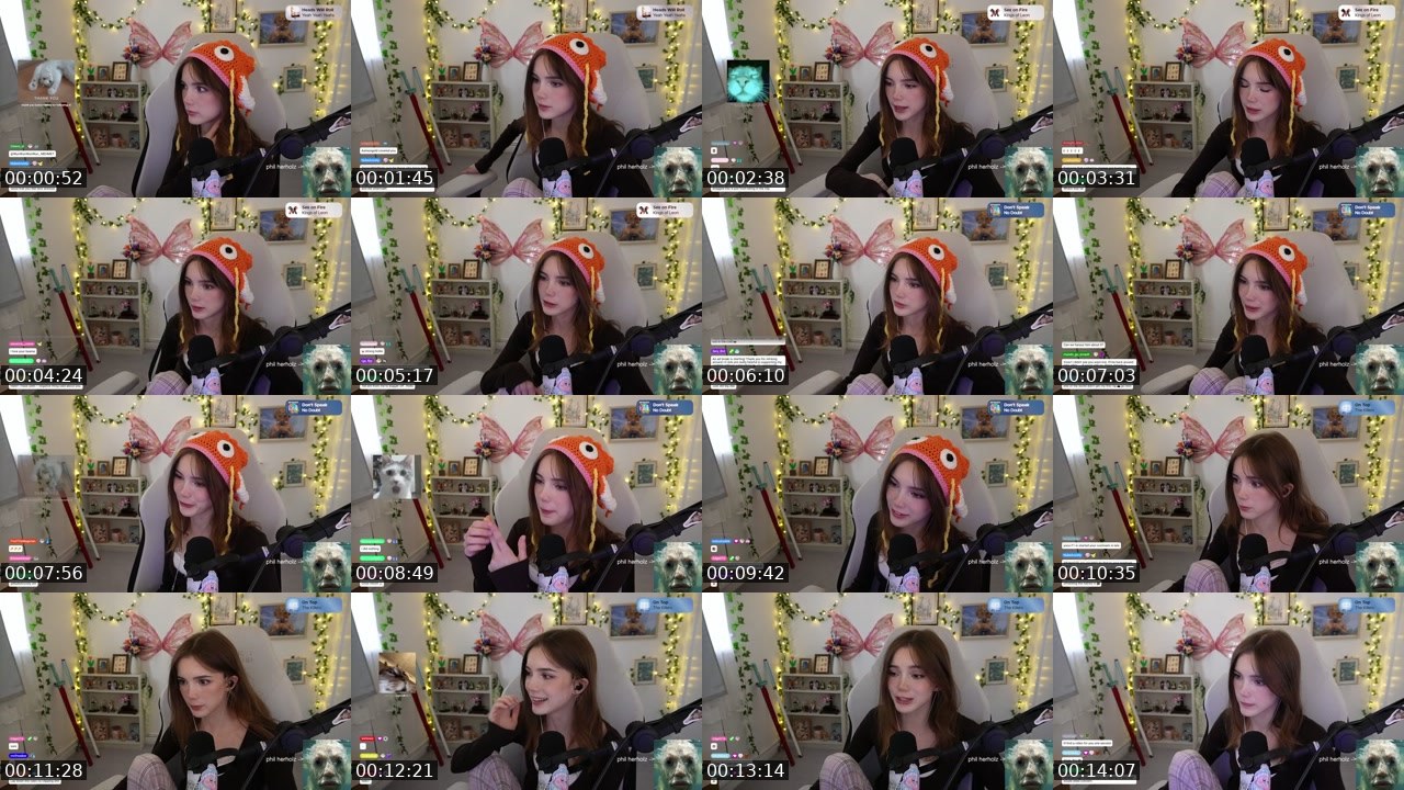 Contact-sheet preview of hollsbeauti's Twitch recording