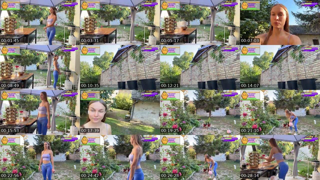 Contact-sheet preview of Gavrilka's Twitch recording