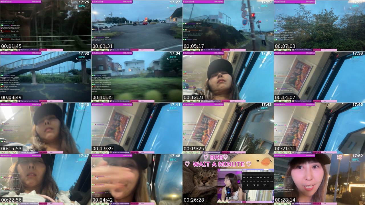 Contact-sheet preview of HoshiRica's Twitch recording