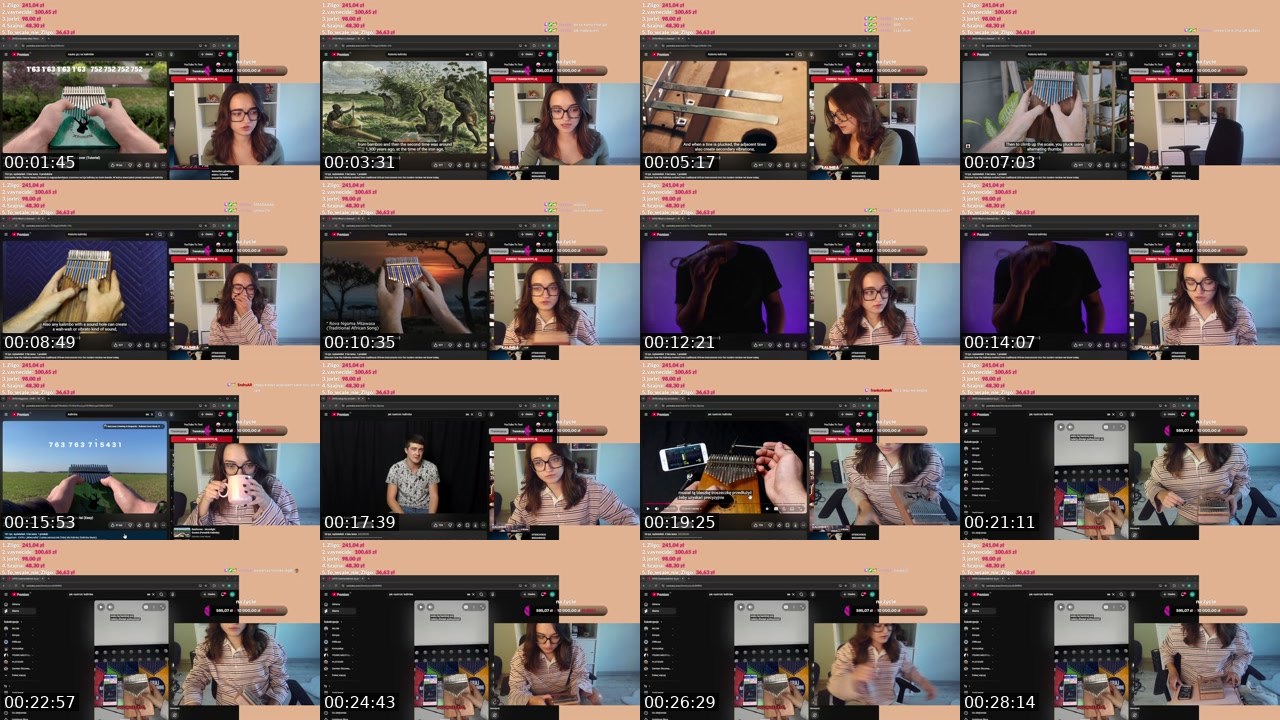 Contact-sheet preview of lismeii's Twitch recording